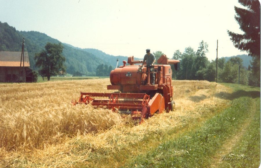 MF Drescher 23